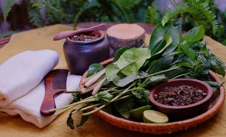 Các nguyên liệu gội đầu thảo dược